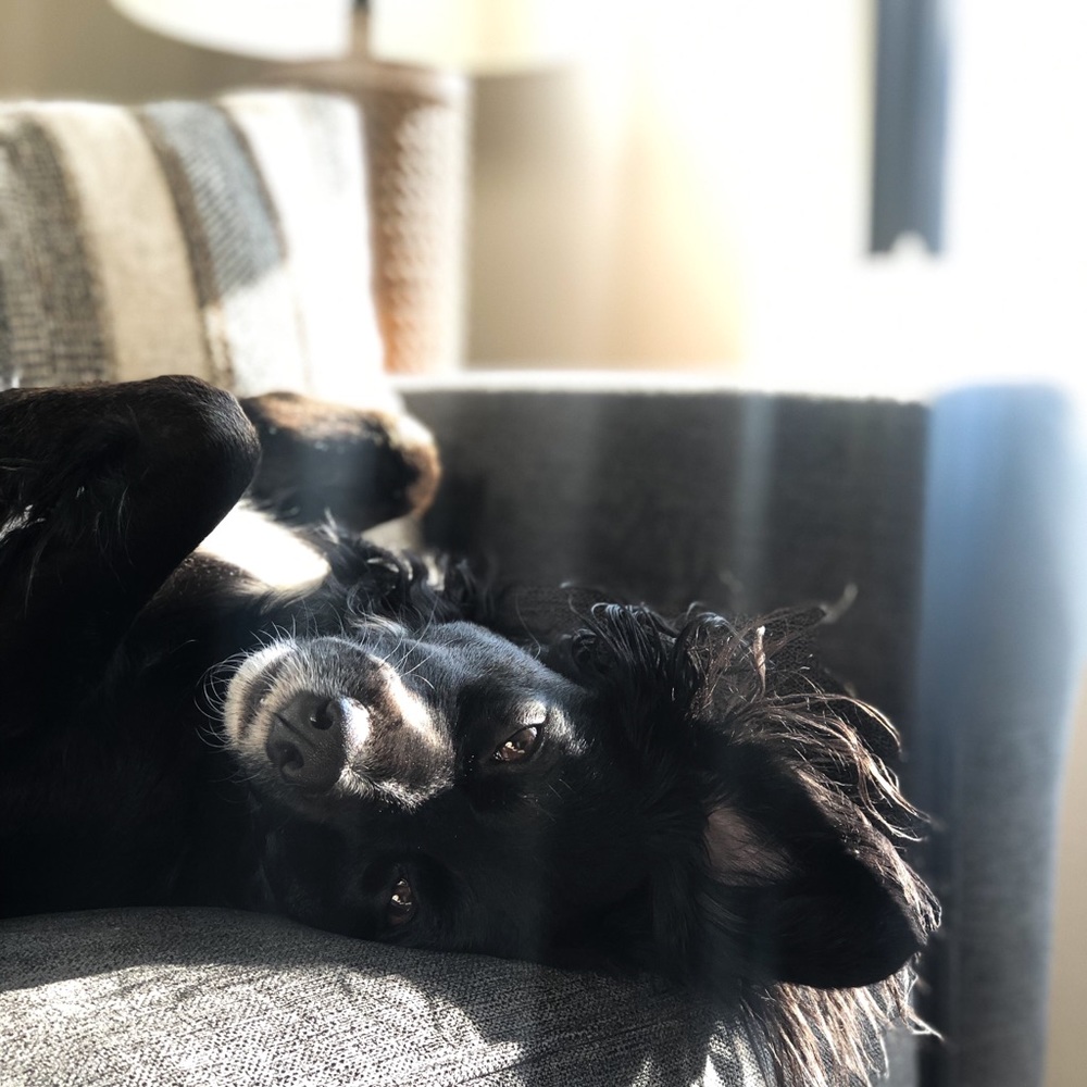 Welcome - Picture 4 of 5